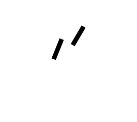 Yael Amari