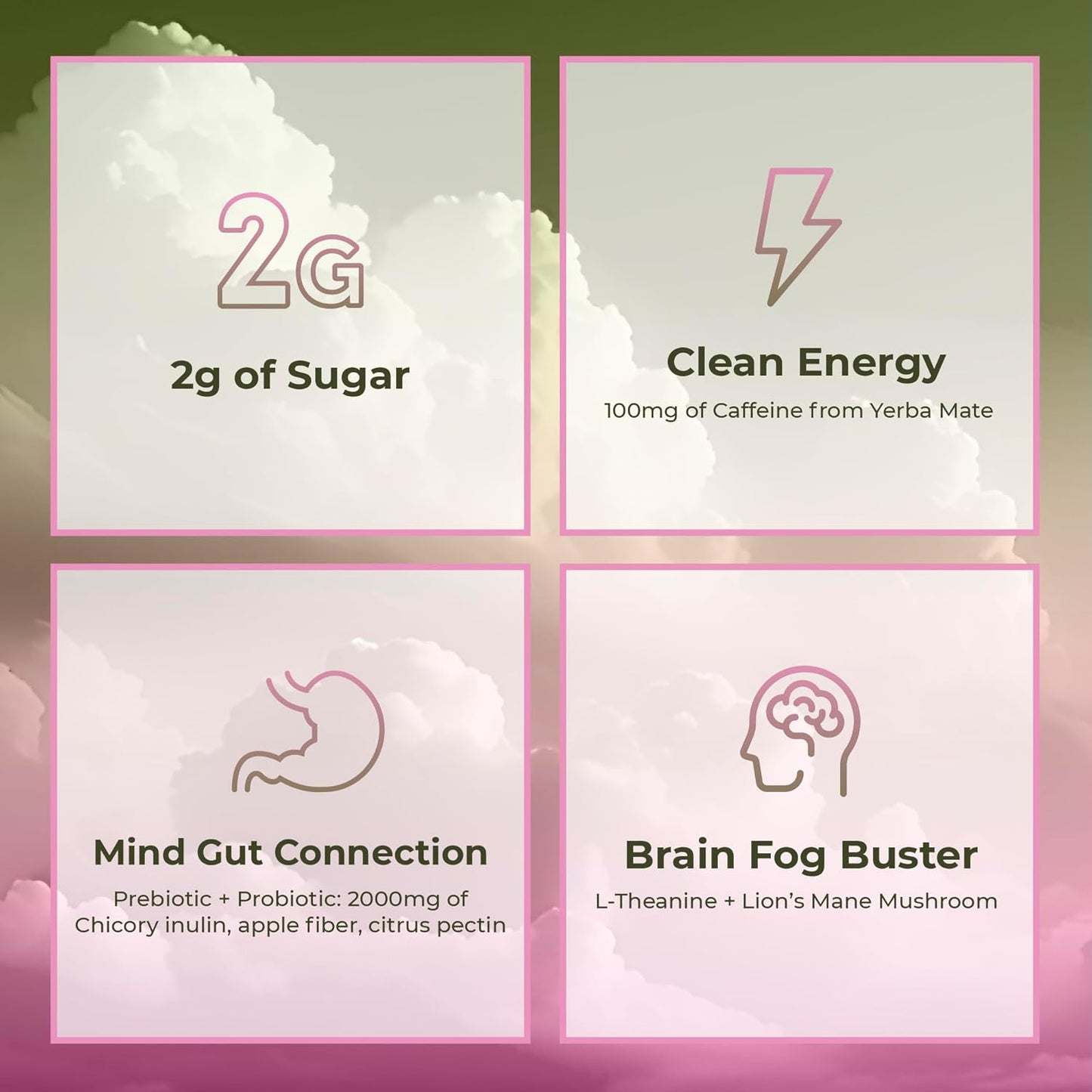 Yael Amari™ | Yerba Mate Instant Tea Powder
