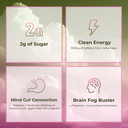 Yael Amari™ | Yerba Mate Instant Tea Powder